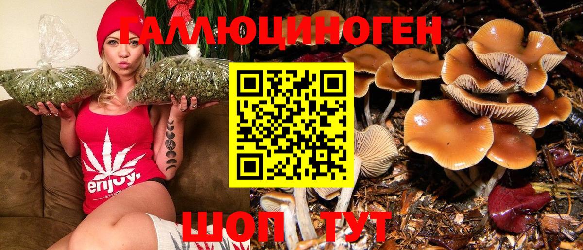 Электросталь  купить наркотики сайты  Вход с VPN  Галлюциногенные грибы Psilocybe 