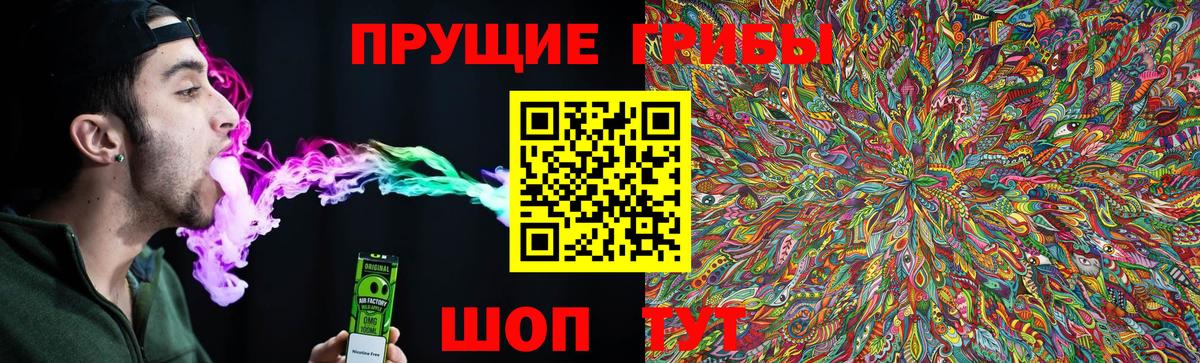 Псилоцибиновые грибы Psilocybe Электросталь